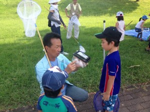 バッタの仲間を探してみよう (9)