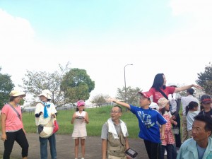 バッタの仲間を探してみよう (13)