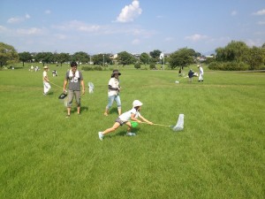 バッタの仲間を探してみよう (6)