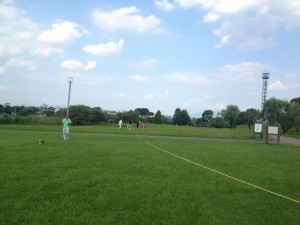 バッタの仲間を探してみよう (16)