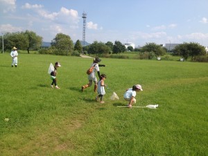 バッタの仲間を探してみよう (4)