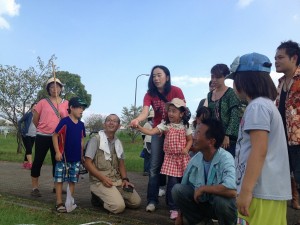 バッタの仲間を探してみよう (14)