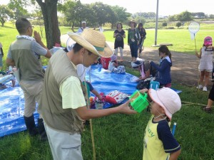 バッタの仲間を探してみよう (10)