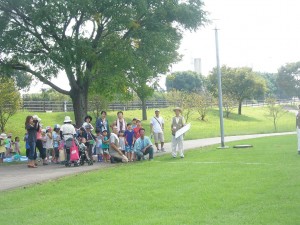 バッタの仲間を探してみよう (19)