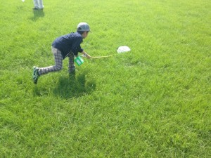 バッタの仲間を探してみよう (5)