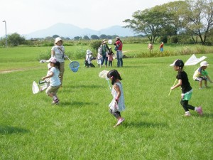バッタの仲間を探してみよう (18)