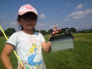 バッタの仲間を探してみよう (7)