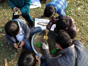 リースと門松 (5)