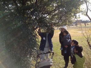 リースと門松 (6)