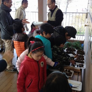 リースと門松 (3)