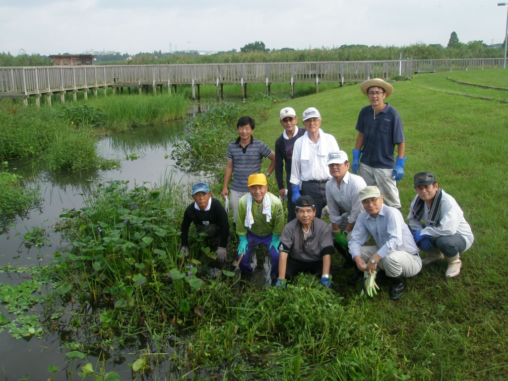 EZ(えづ)パートナーズ『ミズアオイ保全活動』part7