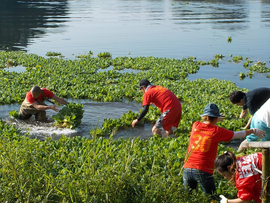 三益式ボランティア活動