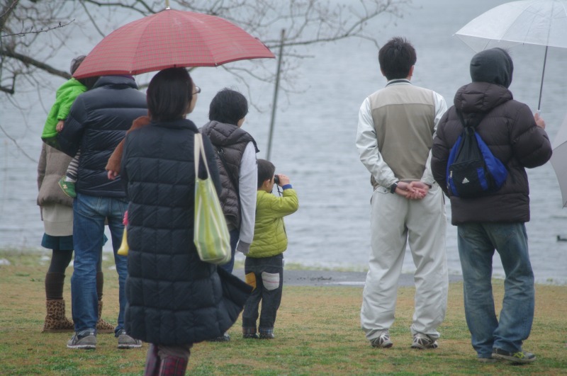 わくわくえづっ子塾「江津湖の野鳥を楽しもう！」