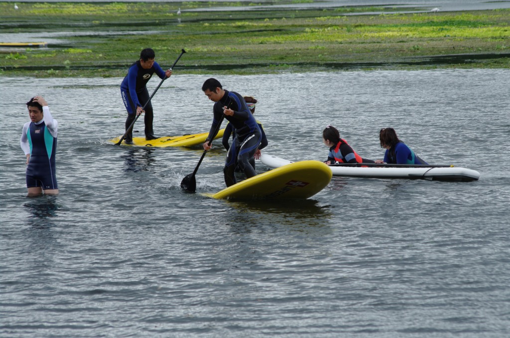【順延となりました】「江津湖の水草清掃とSUPを楽しもう！」参加者募集！