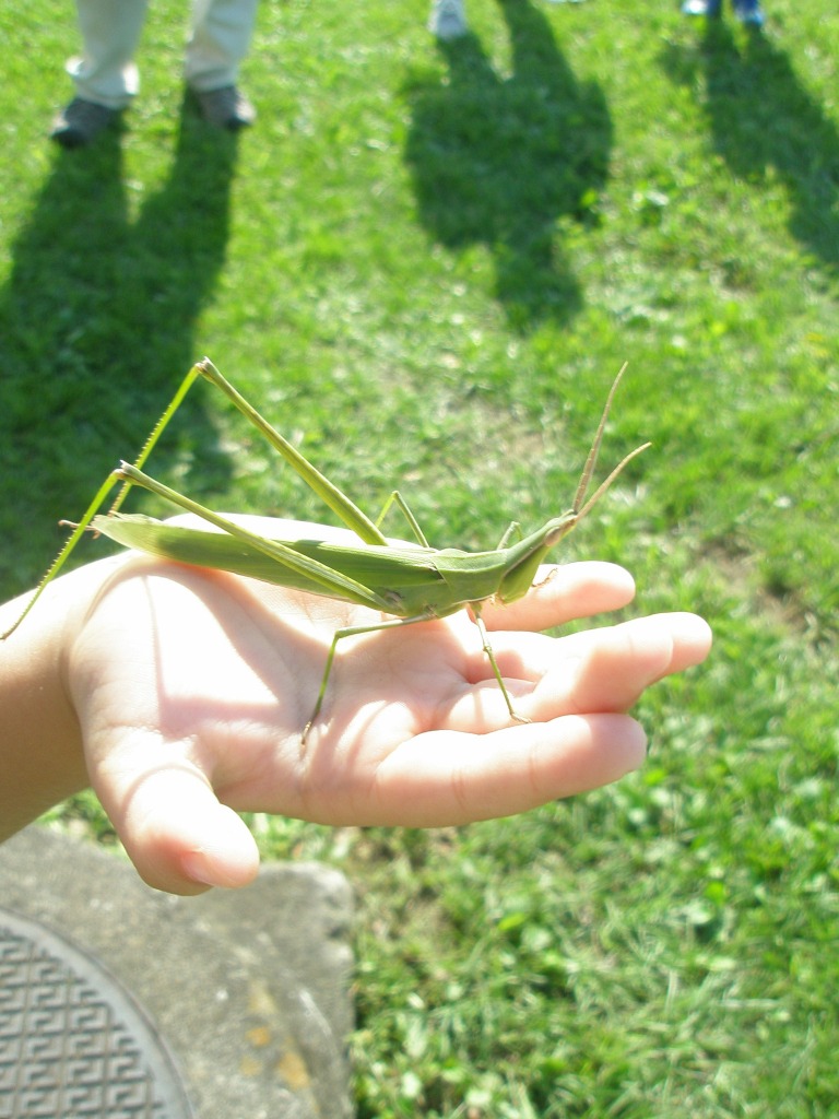 わくわくえづっ子塾『バッタ飛ばしにチャレンジ！』