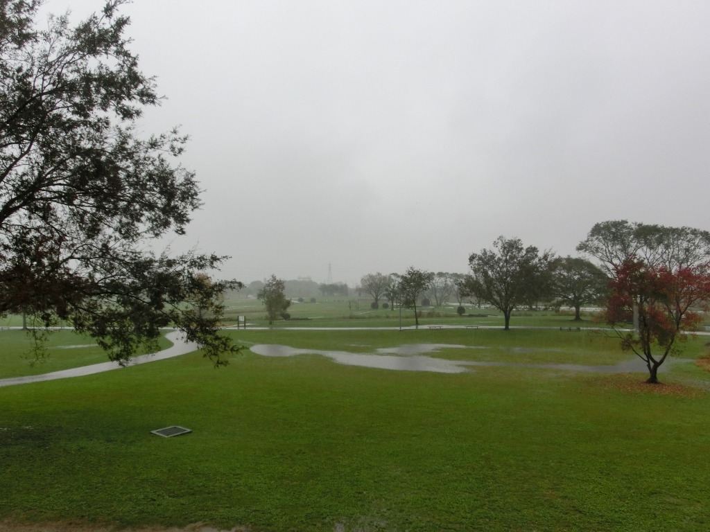 11月の江津湖ワンワン見守り隊（愛称：えづワン隊）