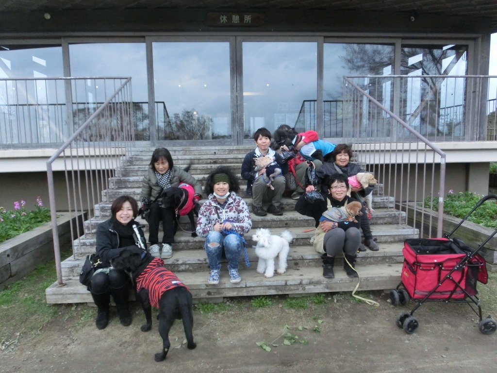 12月の江津湖ワンワン見守り隊（愛称：えづワン隊）