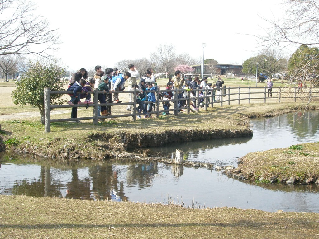 わくわくえづっ子塾「江津湖の野鳥を楽しもう！」