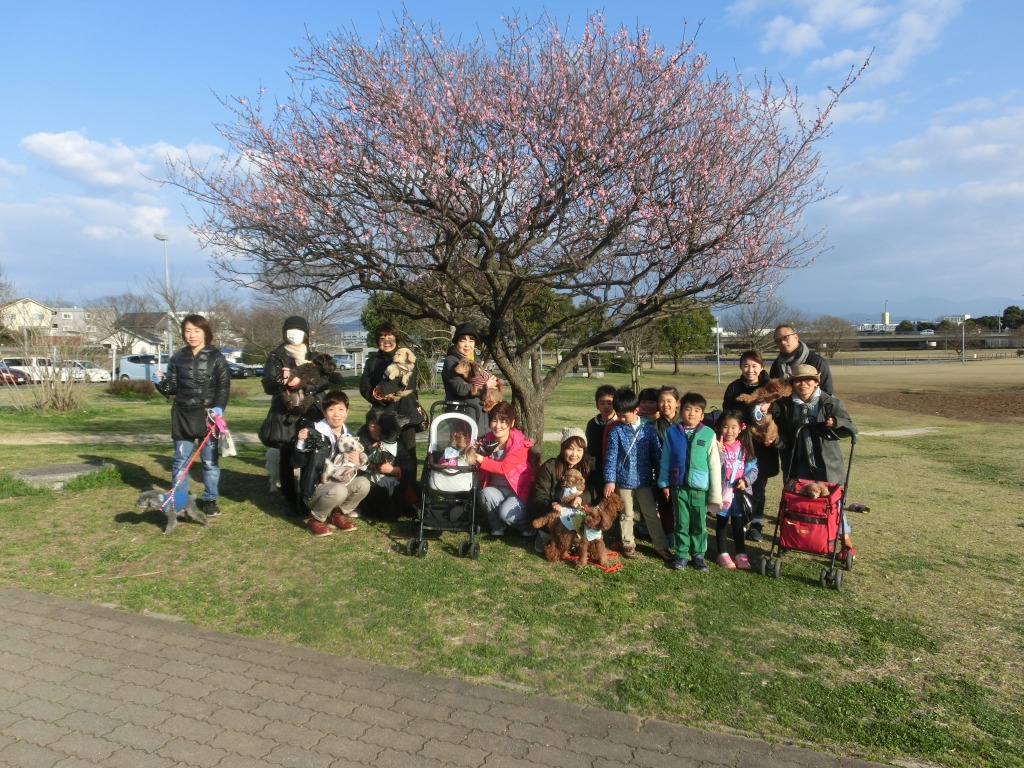 3月の江津湖ワンワン見守り隊（愛称：えづワン隊）