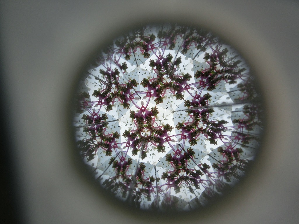 わくわくえづっ子塾「万華鏡で春色さがし」