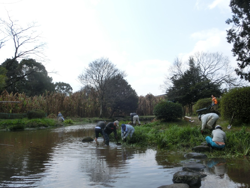 出水地区・日本庭園清掃ボランティア活動