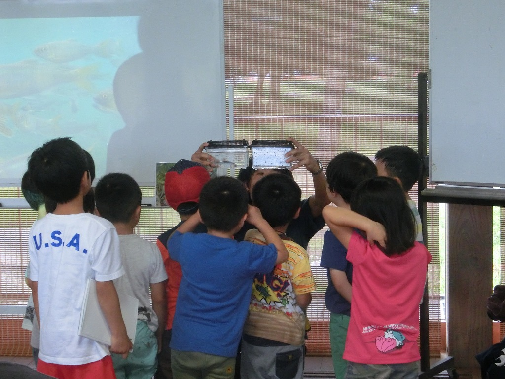 わくわくえづっ子塾『水辺の生きものさがし』