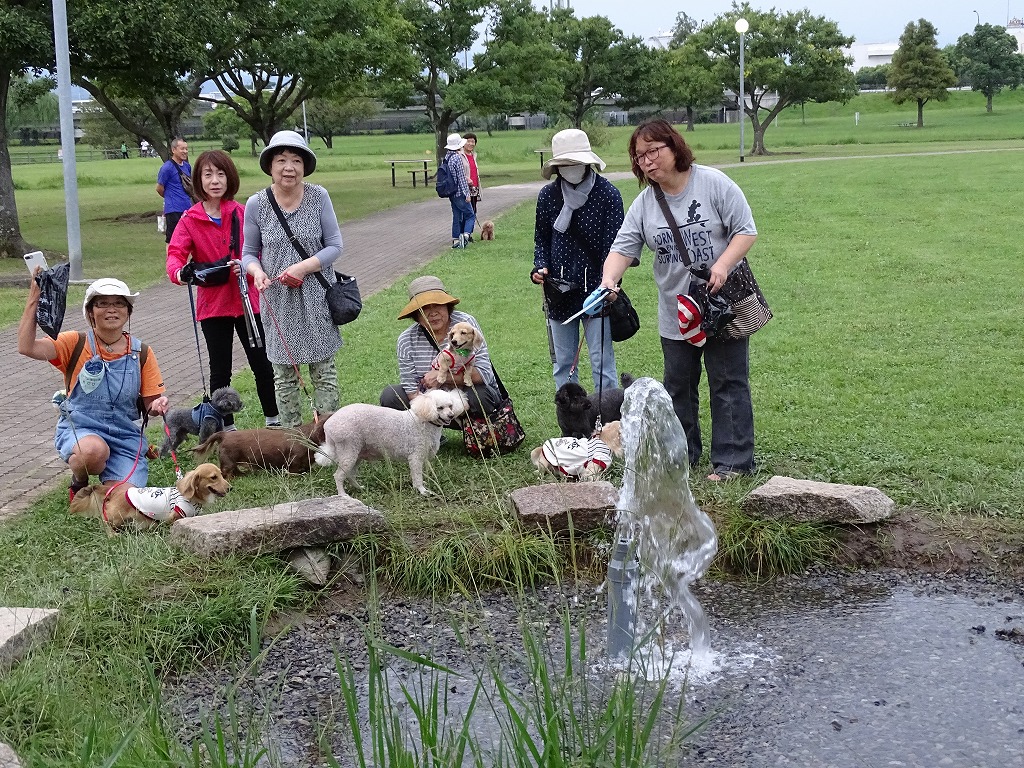 9月の江津湖ワンワン見守り隊（愛称：えづワン隊）