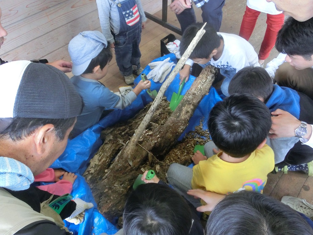 わくわくえづっ子塾『江津湖の生き物環境プログラム』