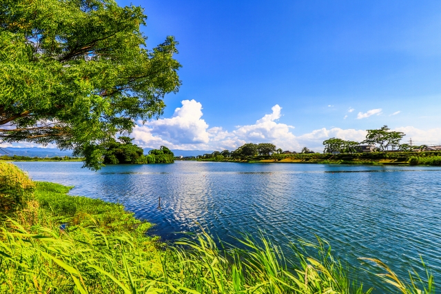 最優秀賞「晩夏風」 - ［公式］水前寺江津湖公園｜熊本市の公園［公式